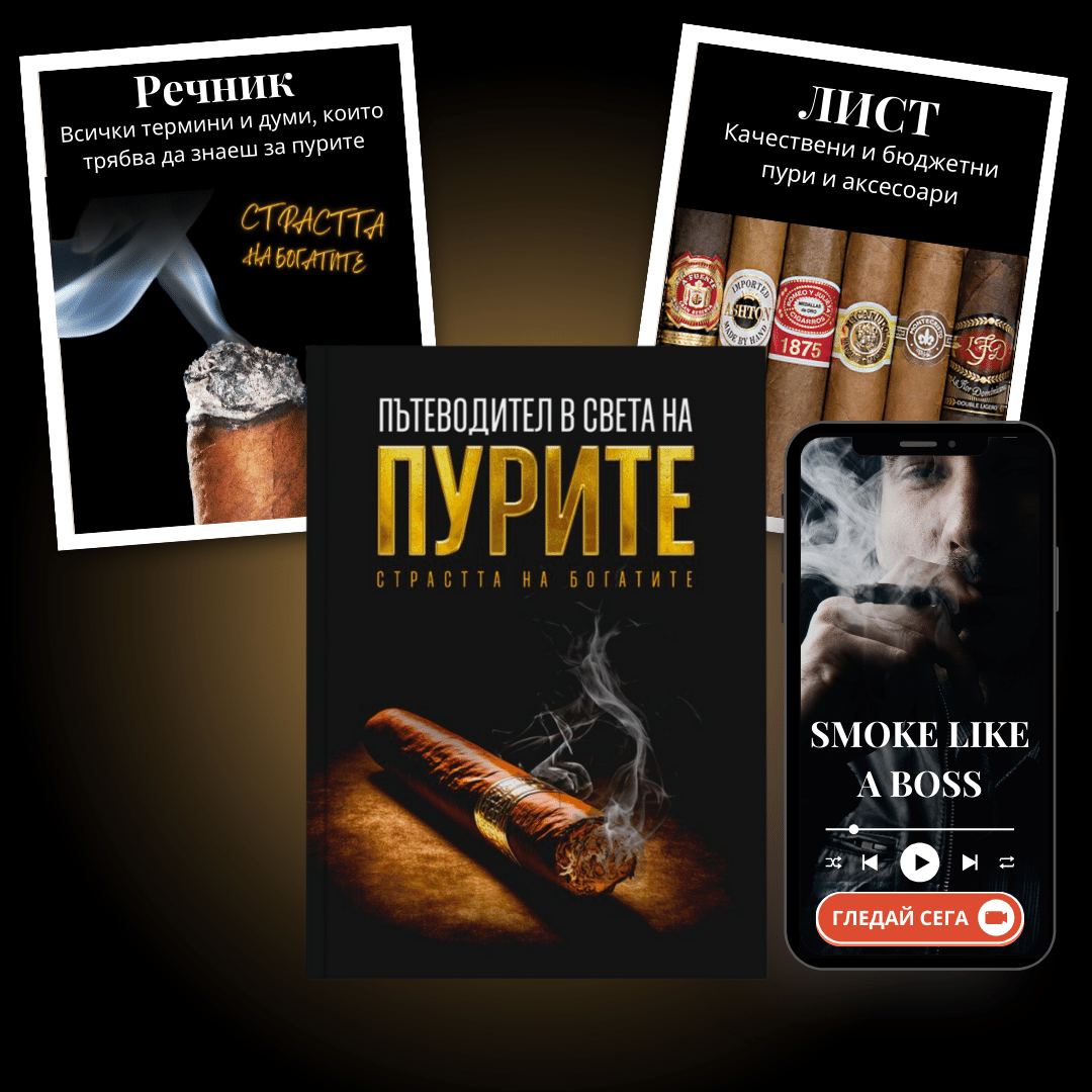 Пътеводител в света на пурите