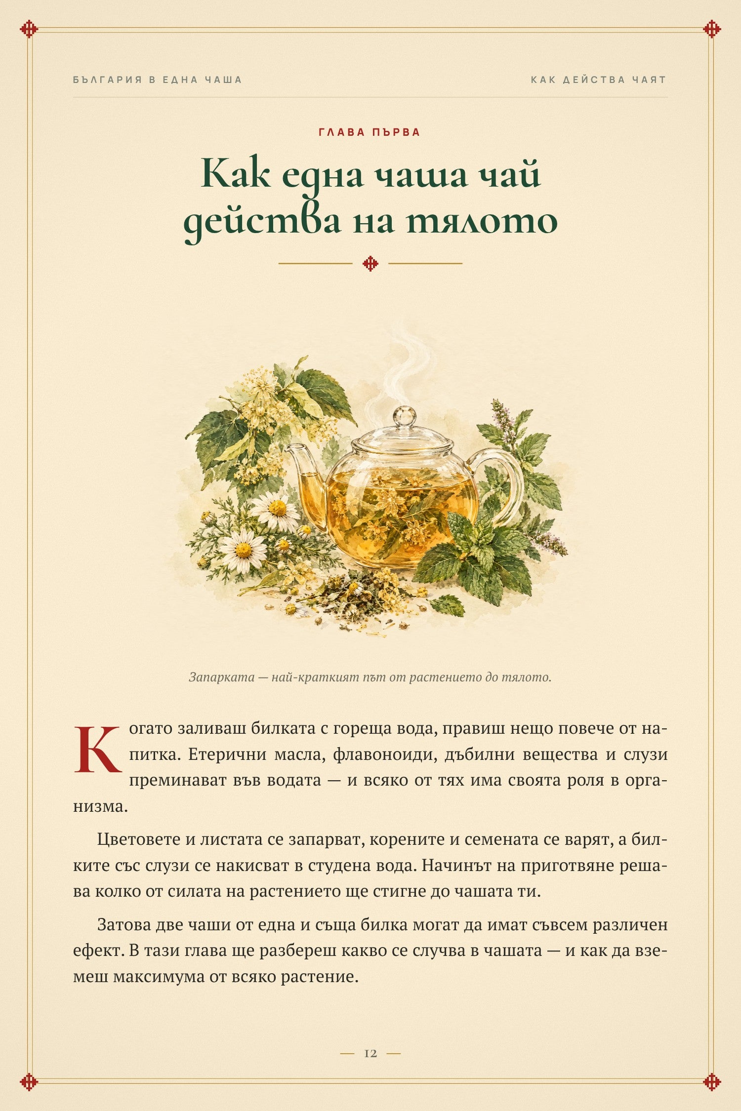 Глава 1 — Как една чаша чай действа на тялото